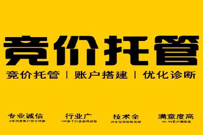 百度竞价推广案例：品牌崛起之路